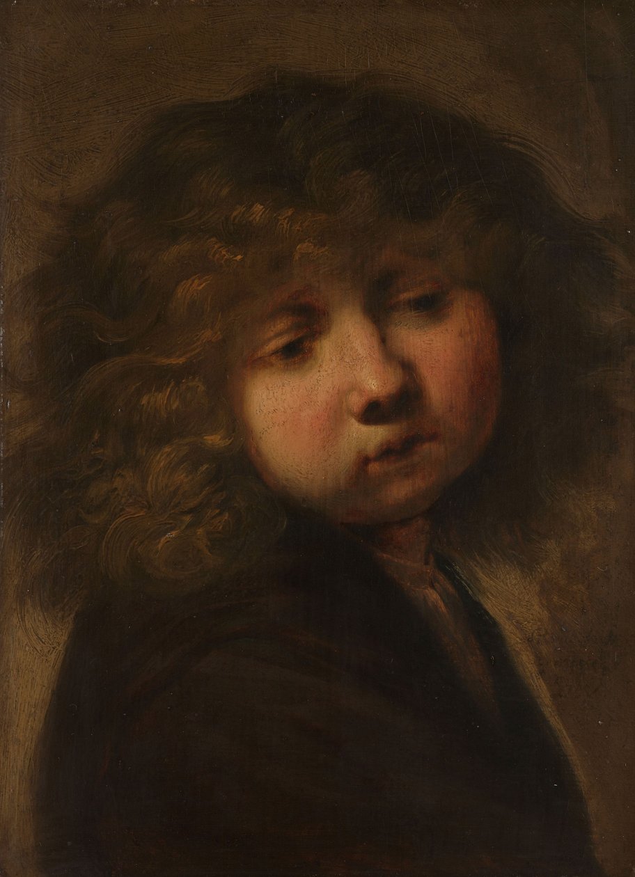 Huvud för en pojke av Rembrandt van Rijn