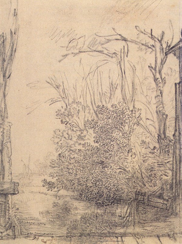 Overhanging bushes on a ditch av Rembrandt van Rijn