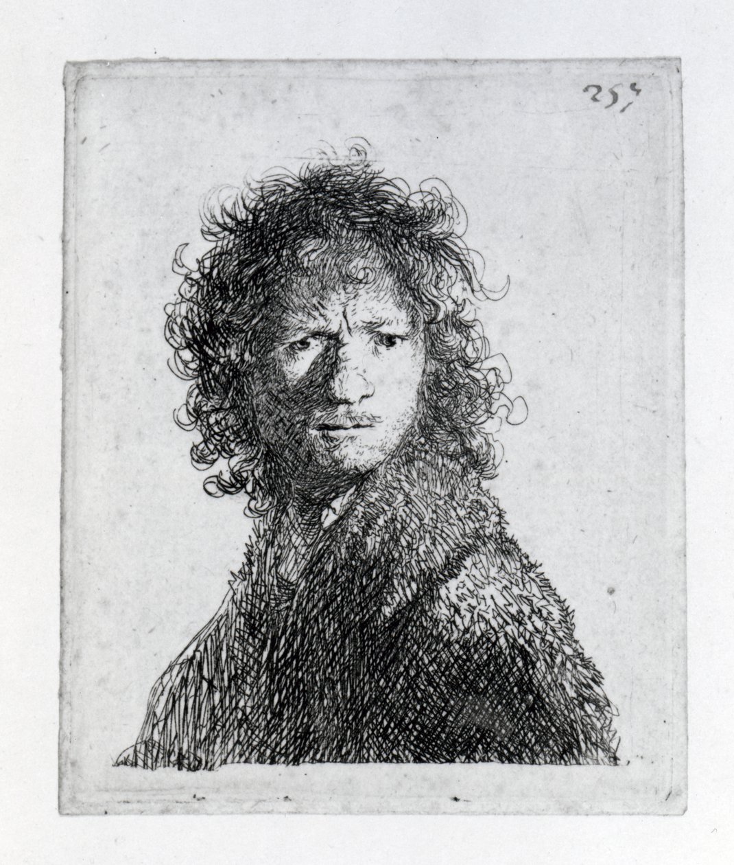 Ata o ia lava, 10 Suetena av Rembrandt van Rijn