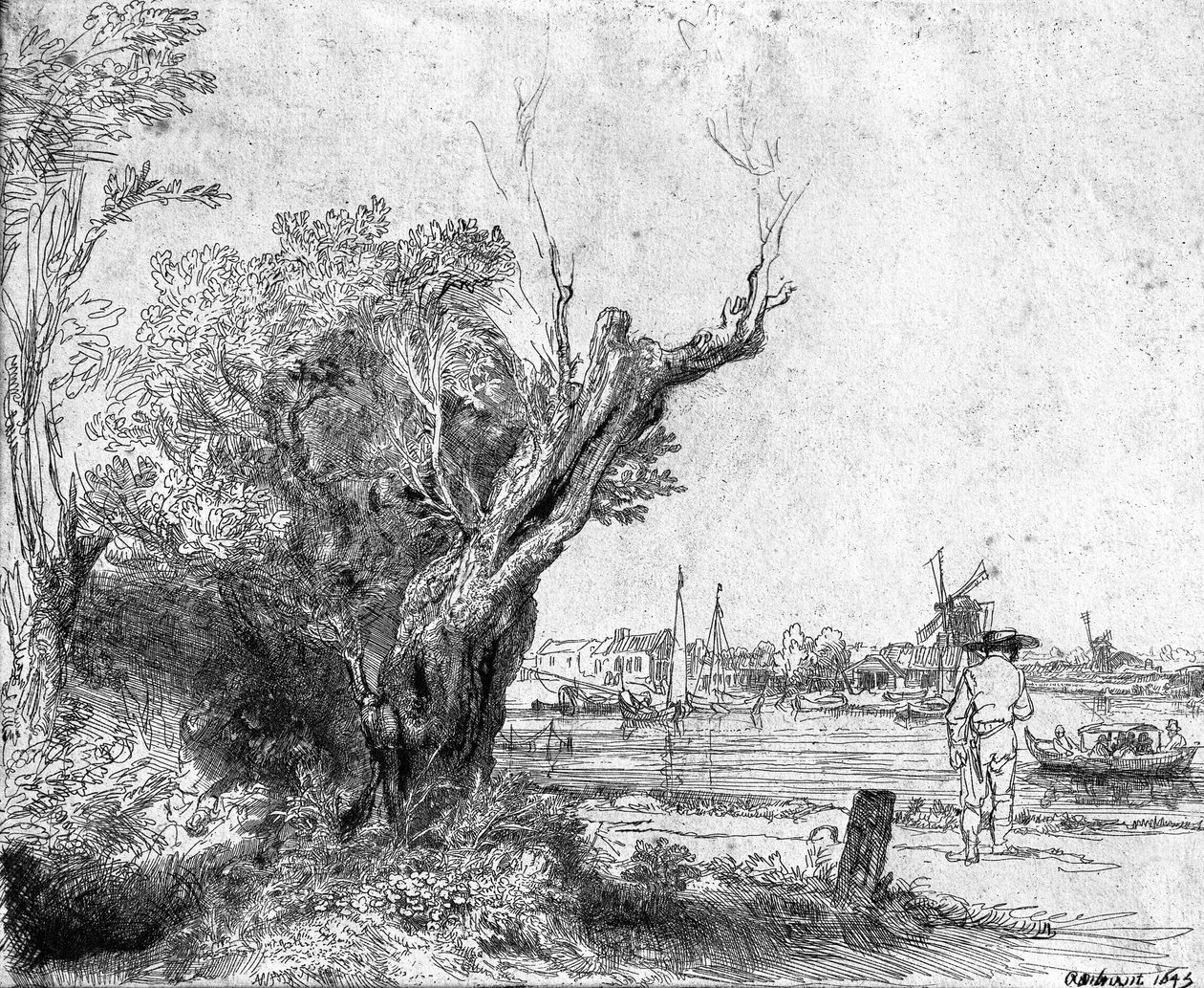 Udsigt over Omval, nær Amsterdam, 1645 sverige av Rembrandt van Rijn