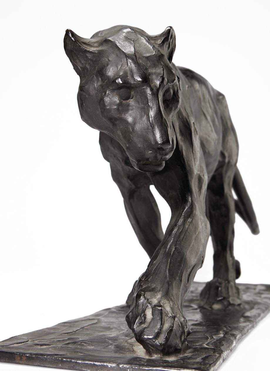 Panther walking, bakre ben höjt, ca 1904 (patinerad brons) av Rembrandt Bugatti