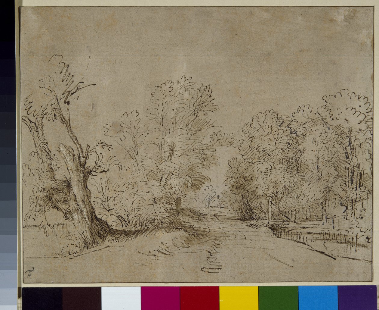 En skogsbevuxen väg, ca 1650 (penna och bläck på papper) av Rembrandt Harmensz. van Rijn