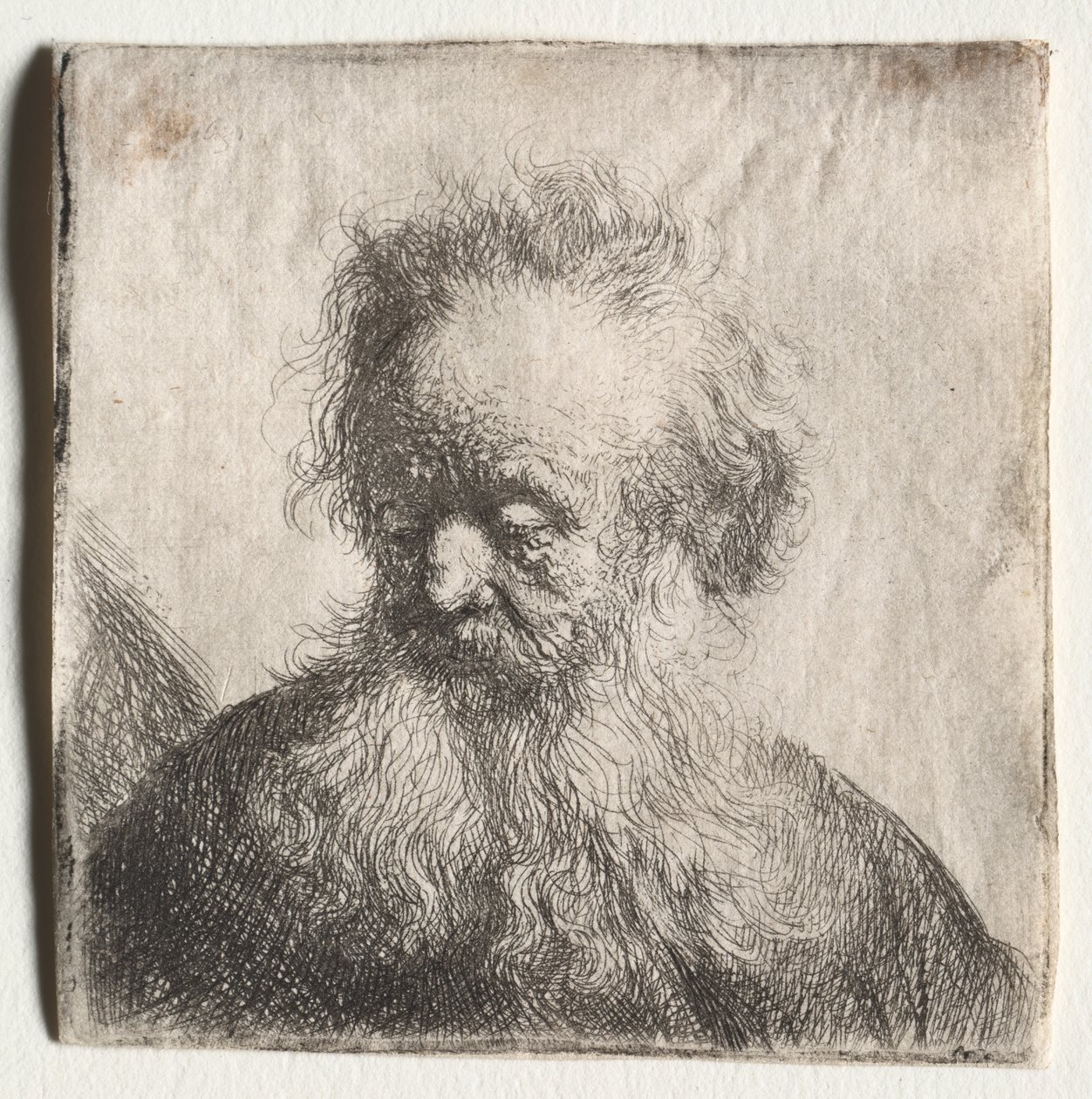 Gammal man med böljande skägg: Byst av Rembrandt Harmensz. van Rijn