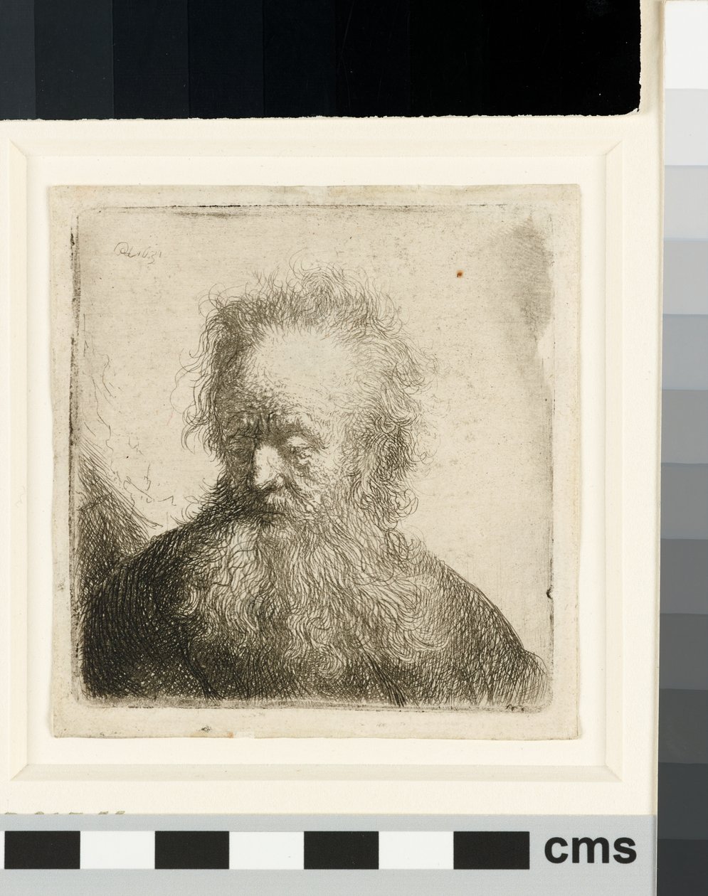 Gubben med flödande skägg: byst av Rembrandt van Rijn