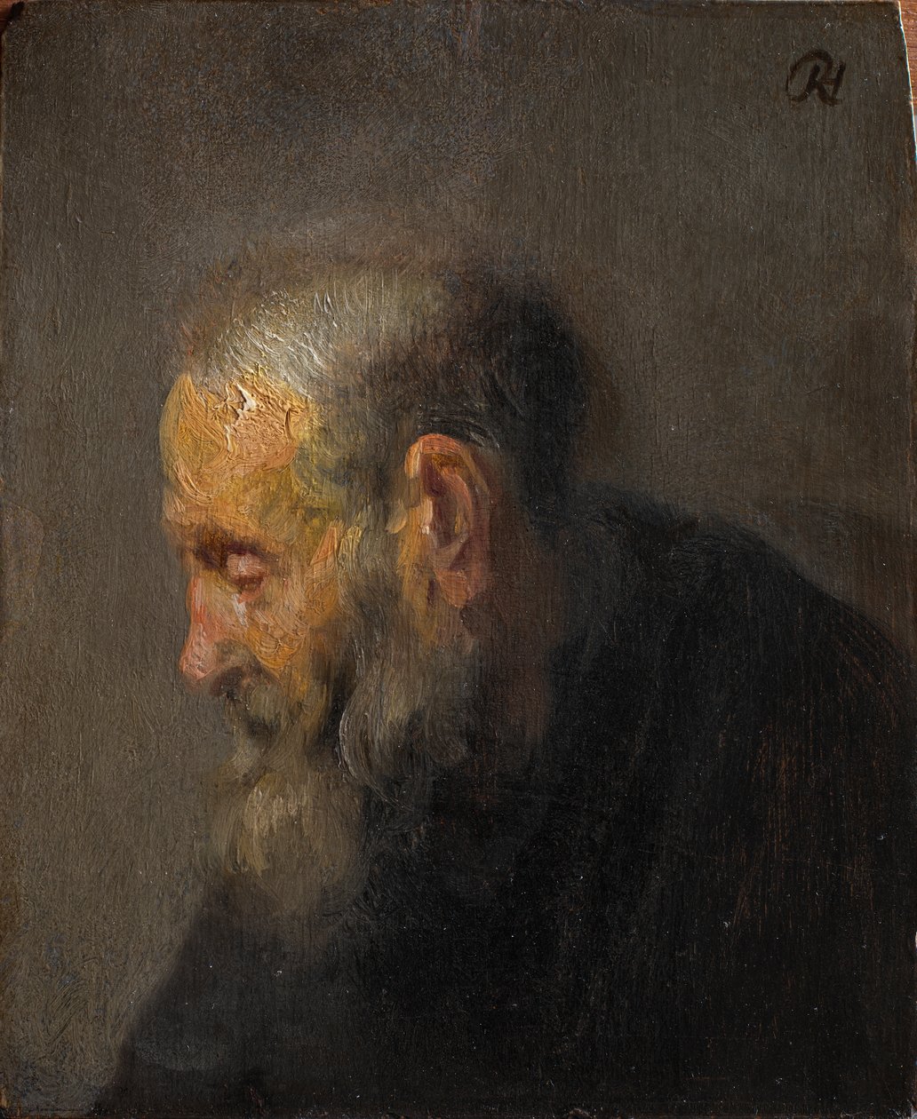 Studie av en gammal man i profil, ca. 1630 (olja på panel) av Rembrandt van Rijn