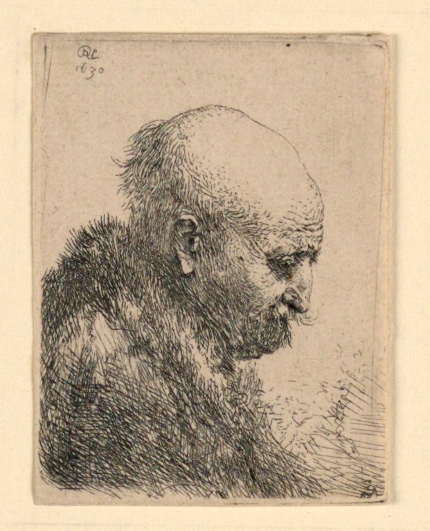 Skallig man i profil höger: liten byst; Konstnärens far? av Rembrandt van Rijn