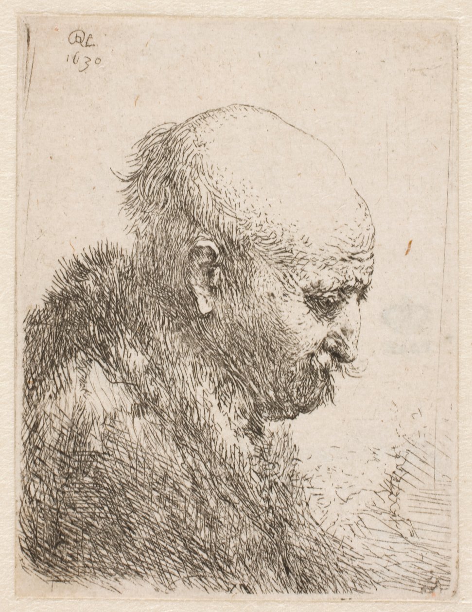 Skallig man (Rembrandts far) i profil åt höger; liten byst av Rembrandt van Rijn