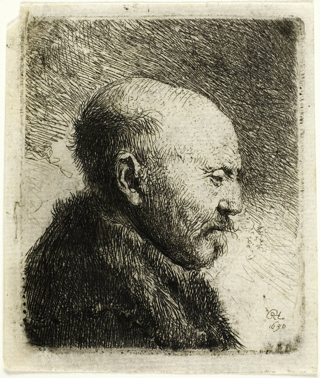 Skallig man i profil till höger: Konstnärens far () av Rembrandt van Rijn