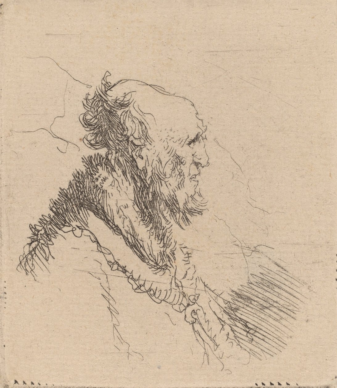 Skallig gammal man med kort skägg i profil, ca. 1635. av Rembrandt van Rijn