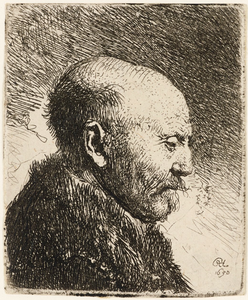 Skallig man i profil höger: Rembrandts far 1630. av Rembrandt van Rijn
