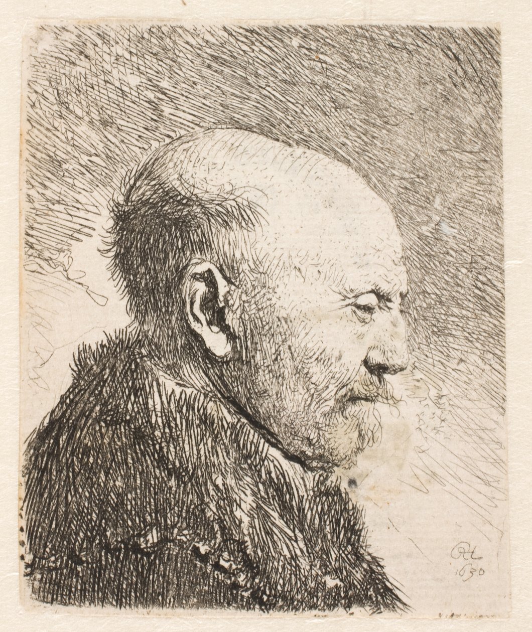Skallig man i profil (Rembrandts pappa?) av Rembrandt van Rijn