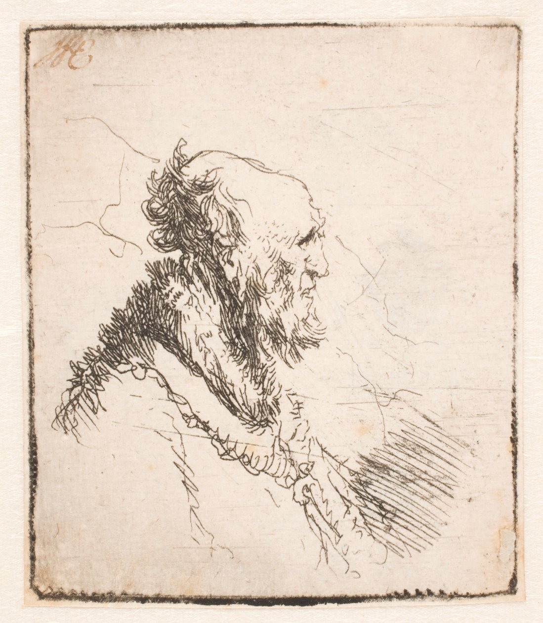 Skallig gubbe med kort skägg, i profil höger av Rembrandt van Rijn