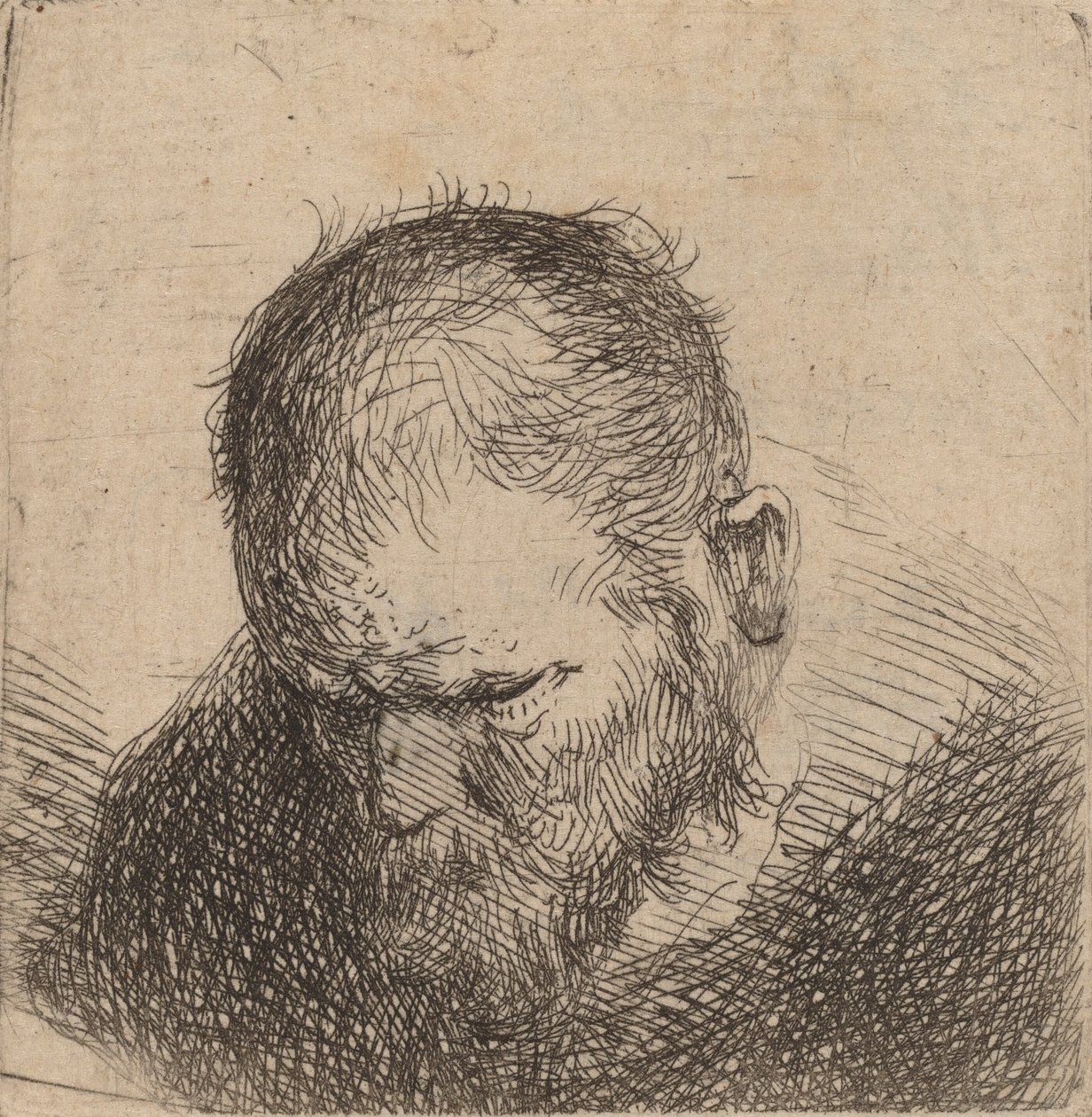 Skäggig man tittar ner, möjligen 1631. av Rembrandt van Rijn