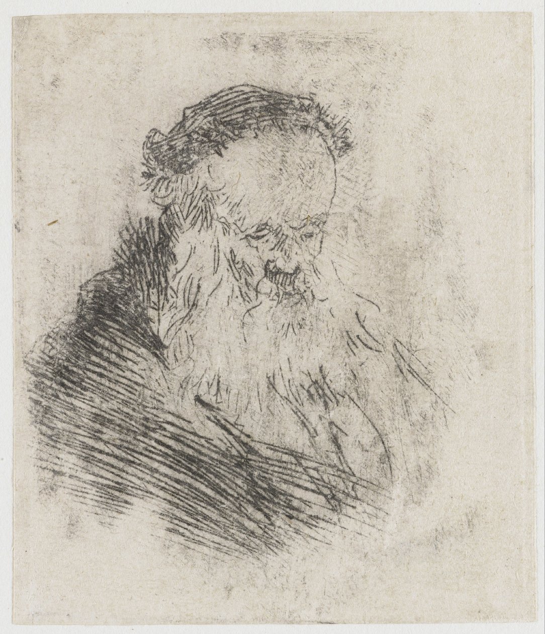Skäggig äldre man med hög panna av Rembrandt van Rijn