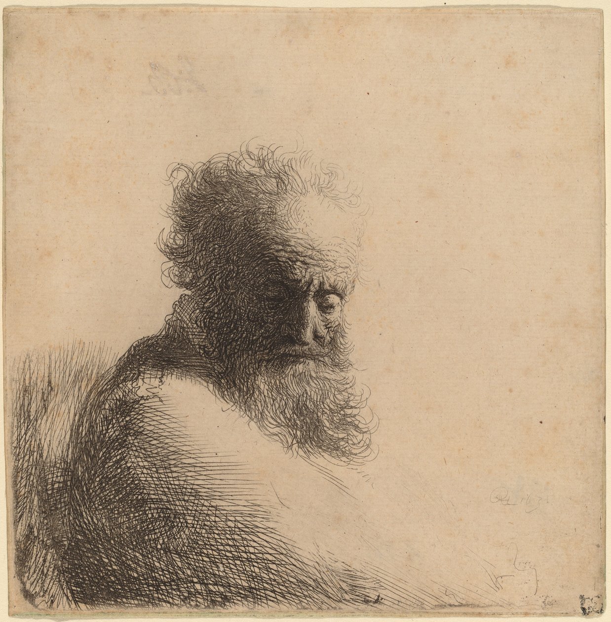 Byst av en gammal skäggig man, tittar ner, tre fjärdedelar höger av Rembrandt van Rijn