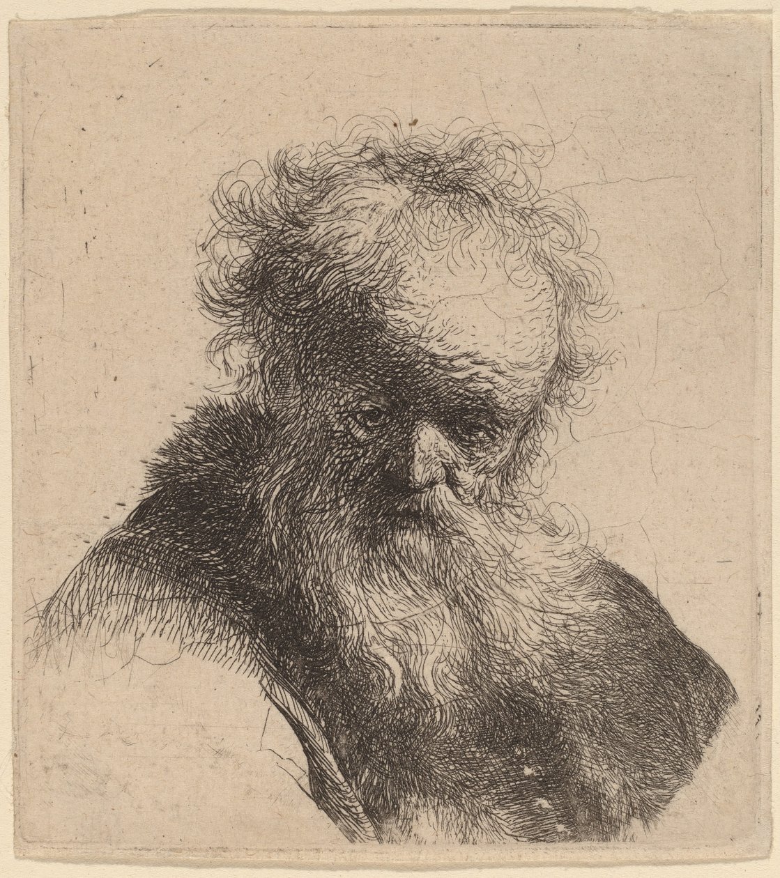 Byst av en gammal man med flödande skägg och vit ärm av Rembrandt van Rijn