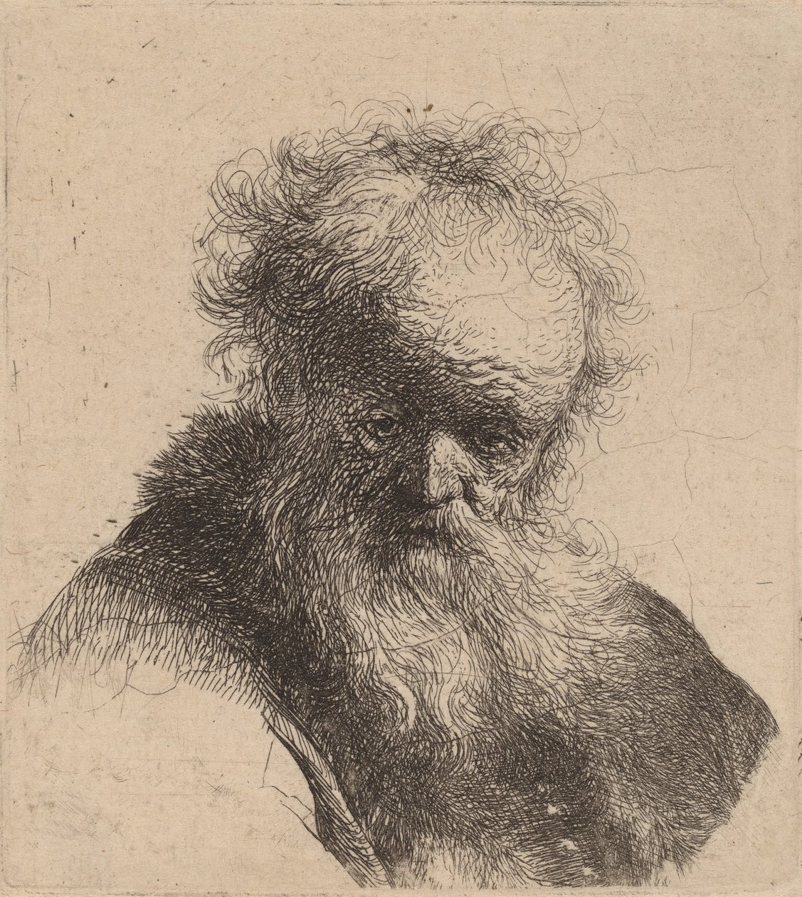 Byst av en gammal man med flödande skägg och vit ärm, ca. 1630. av Rembrandt van Rijn