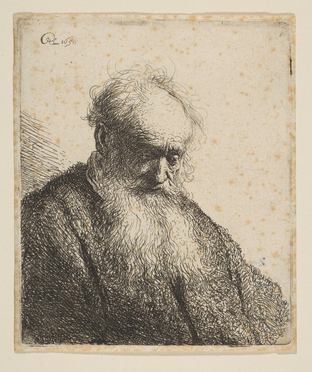 Byst av en gammal man med flödande skägg: huvudet lutande tre fjärdedelar åt höger, 1630. av Rembrandt van Rijn