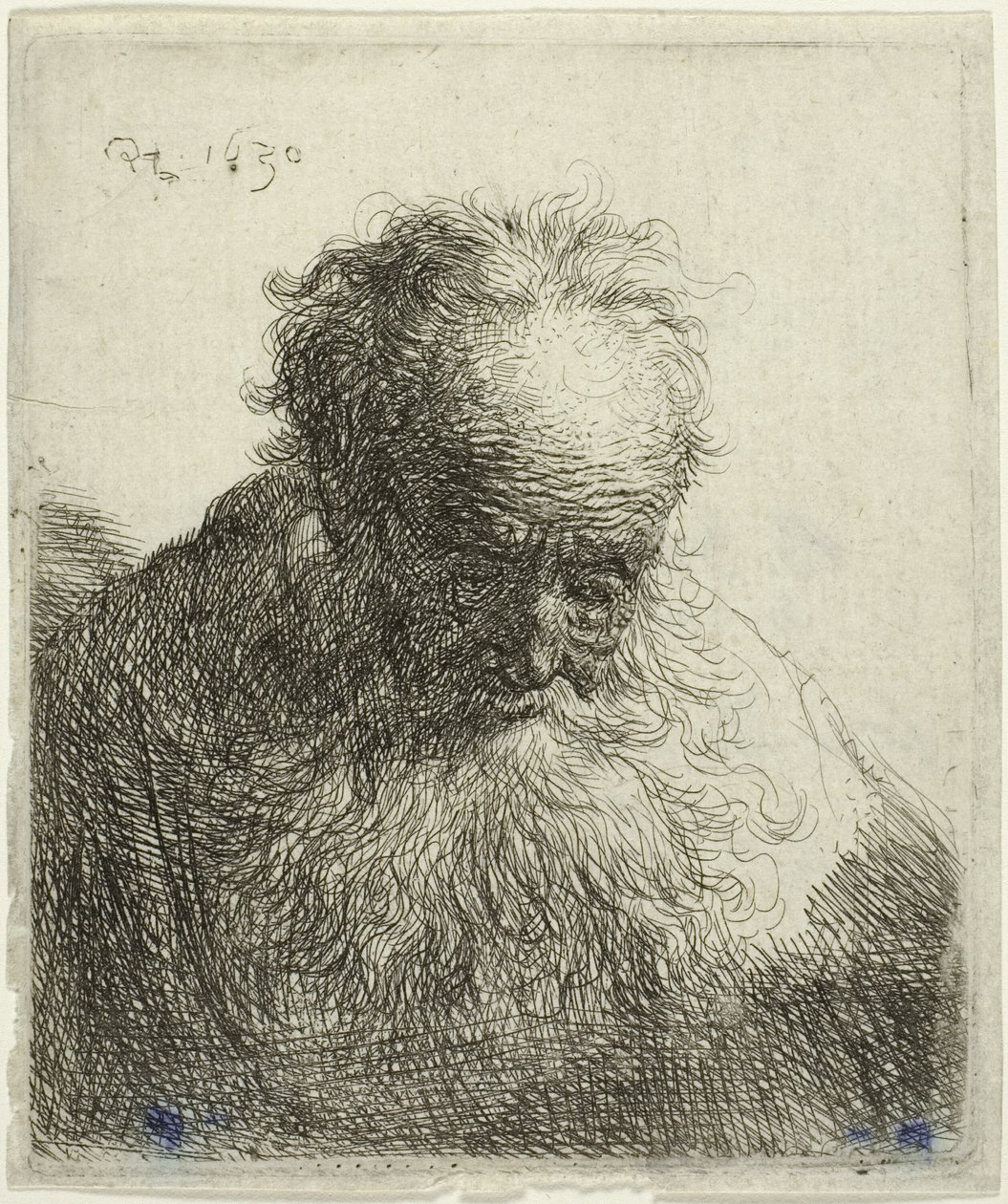 Byst av en gammal man med flödande skägg: Huvudet böjt framåt: vänster axel oskuggad av Rembrandt van Rijn