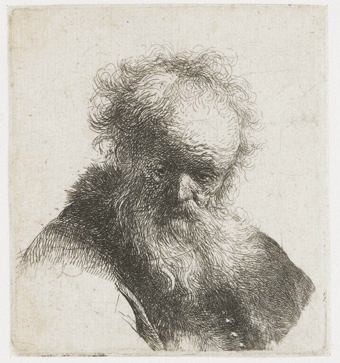 Byst av en gammal man med flödande skägg och vit ärm av Rembrandt van Rijn