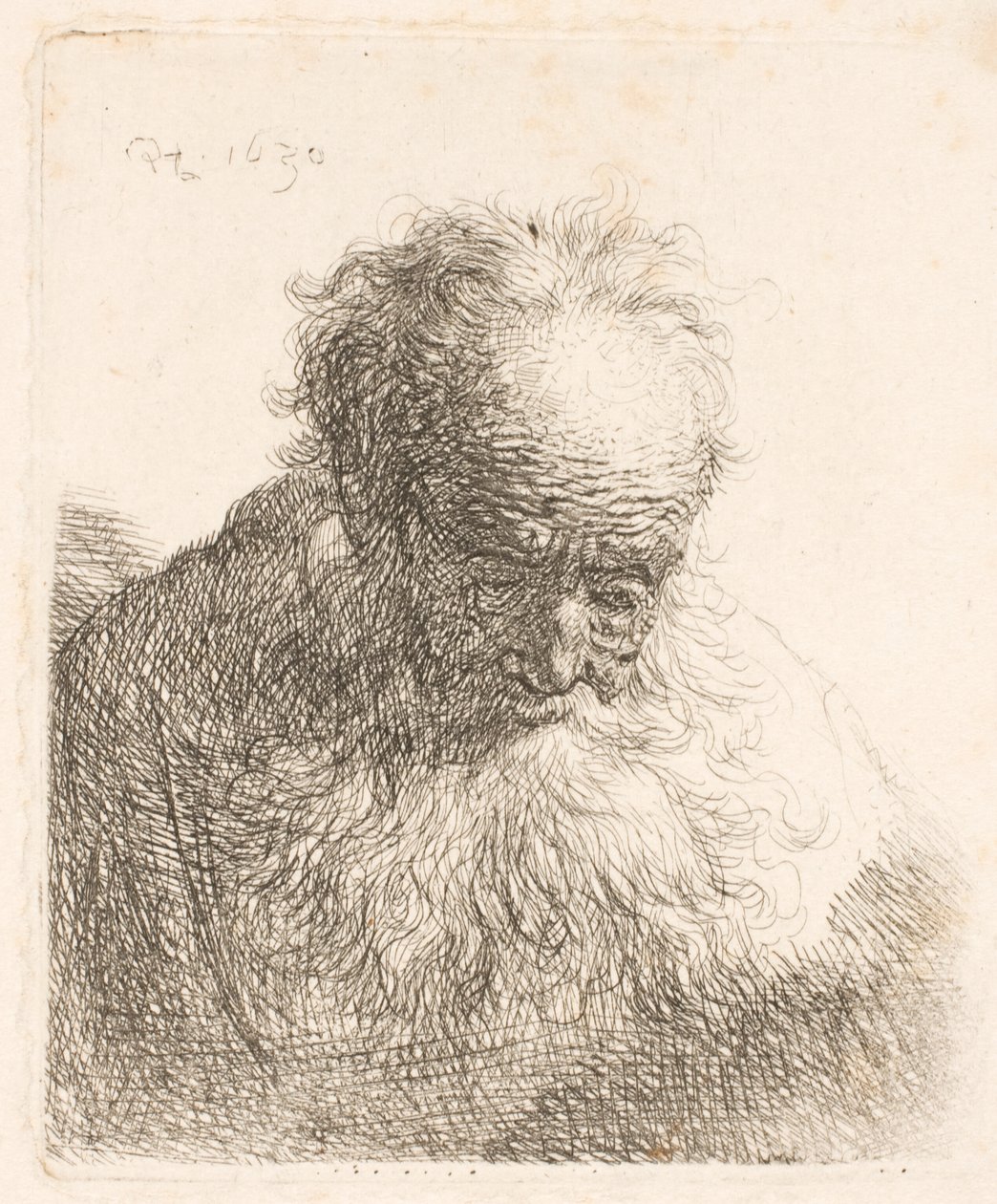 Byst av en äldre man med fladdrande skägg: huvudet böjt framåt; vänster axel utan skugga av Rembrandt van Rijn