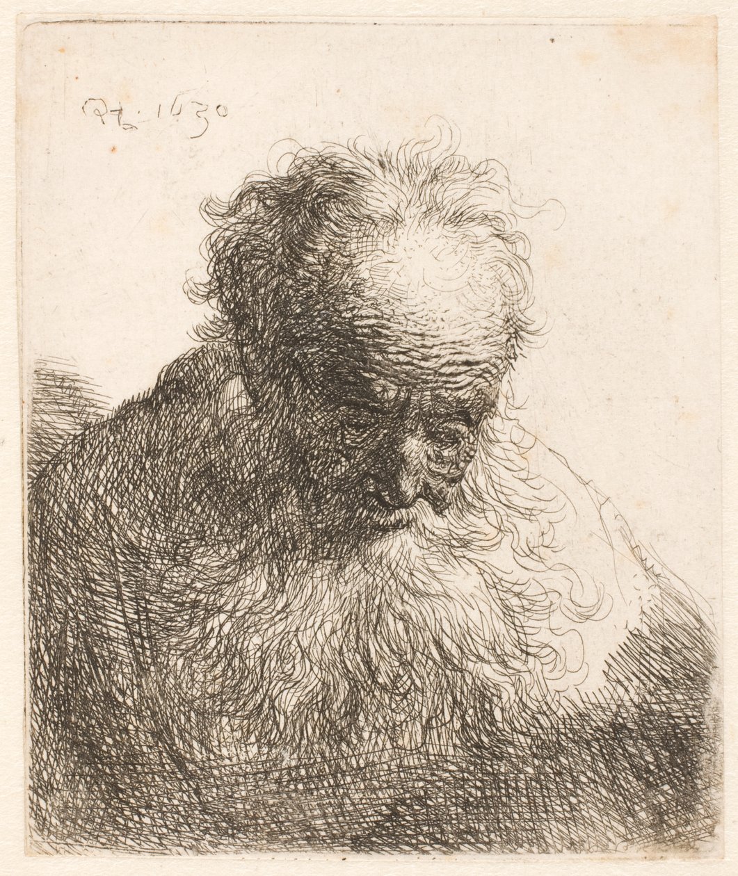 Byst av en äldre man med fladdrande skägg: huvudet böjt framåt; vänster axel utan skugga av Rembrandt van Rijn