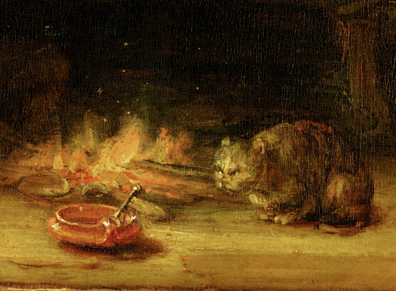 Katt, detalj av helig familj med en gardin, 1646 (se 244315) av Rembrandt van Rijn