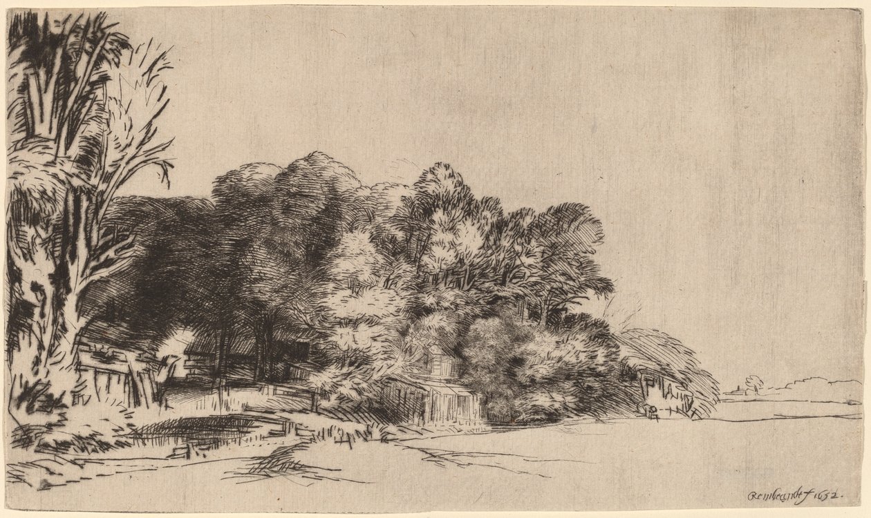 Trädklump med en Vista av Rembrandt van Rijn