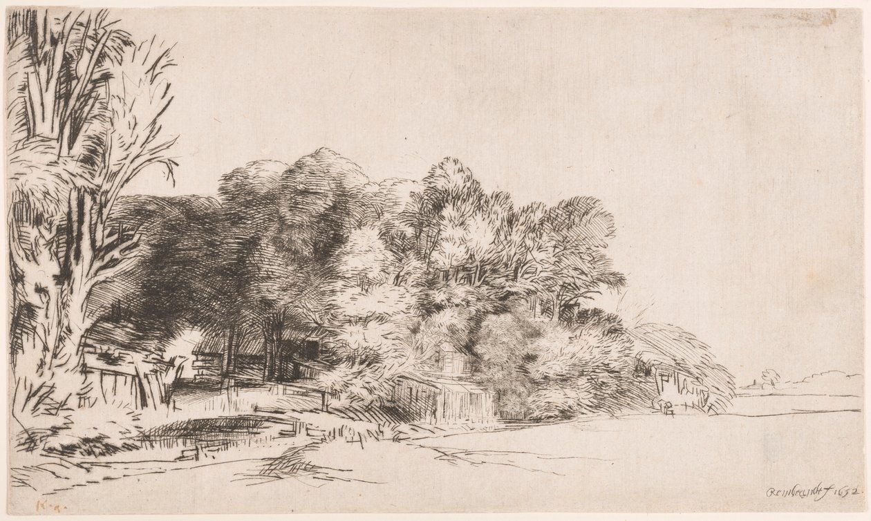 Trädklump med en Vista av Rembrandt van Rijn
