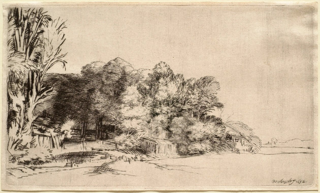 Landskap med en träddunge av Rembrandt van Rijn