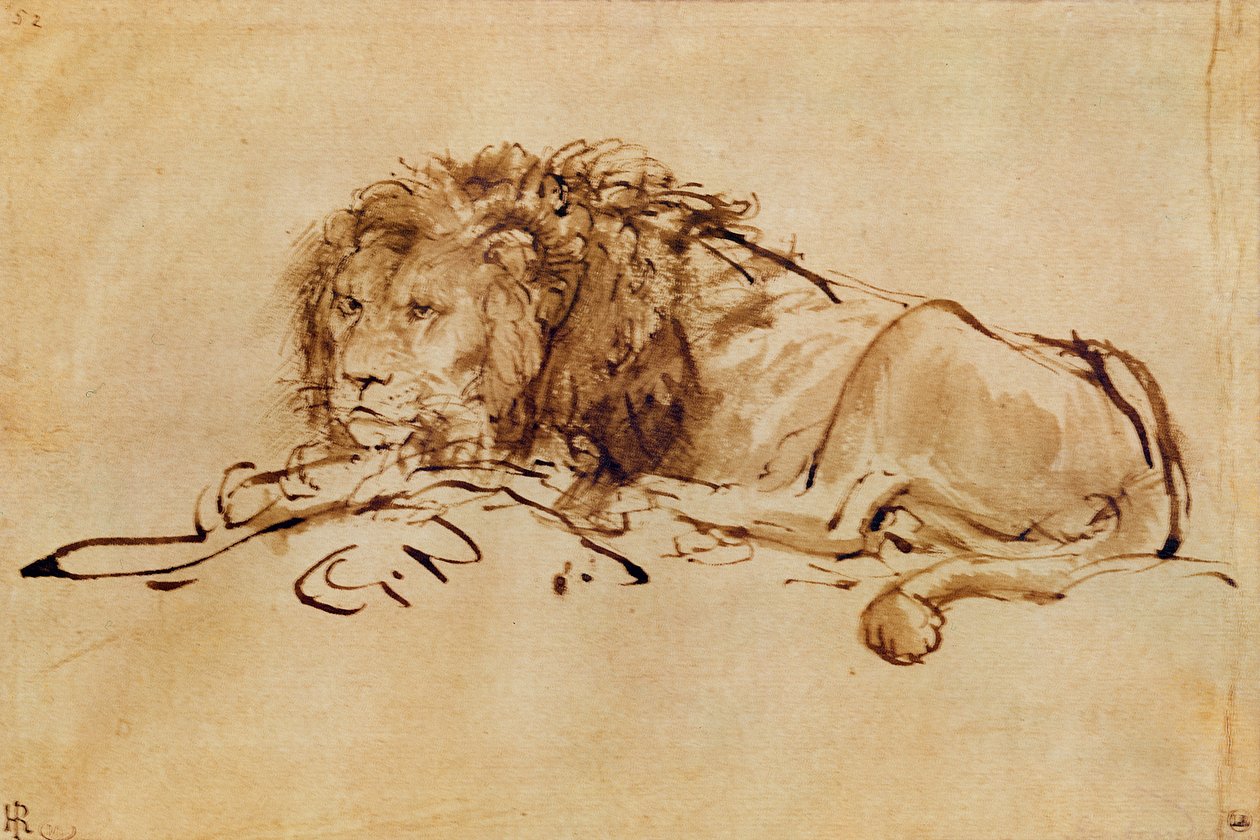 Lion Resting (penna och bläck på papper) av Rembrandt van Rijn