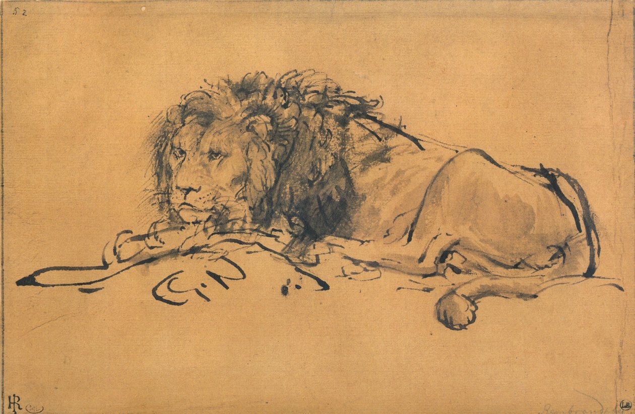 Lejon vilar, vänd till vänster, c1650 av Rembrandt van Rijn