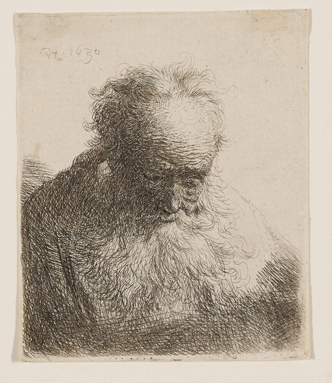 Gammal man med fladdrande skägg (huvudet böjt framåt, vänster axel utan skugga) av Rembrandt van Rijn
