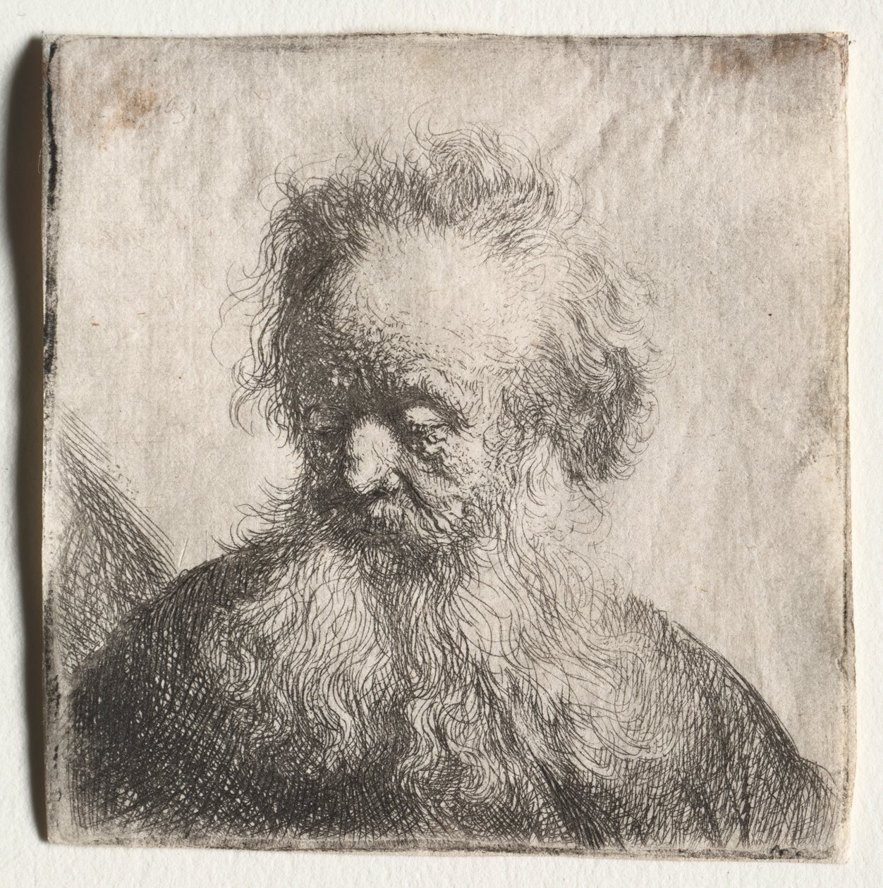 Gammal man med flödande skägg: Byst av Rembrandt van Rijn