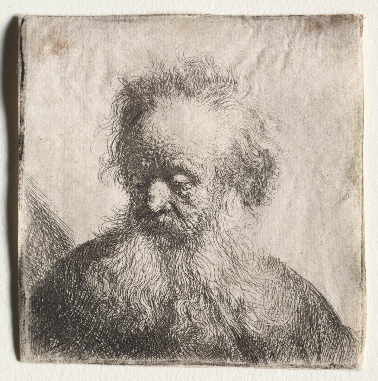 Gammal man med ett flödande skägg: Byst, 1631. av Rembrandt van Rijn