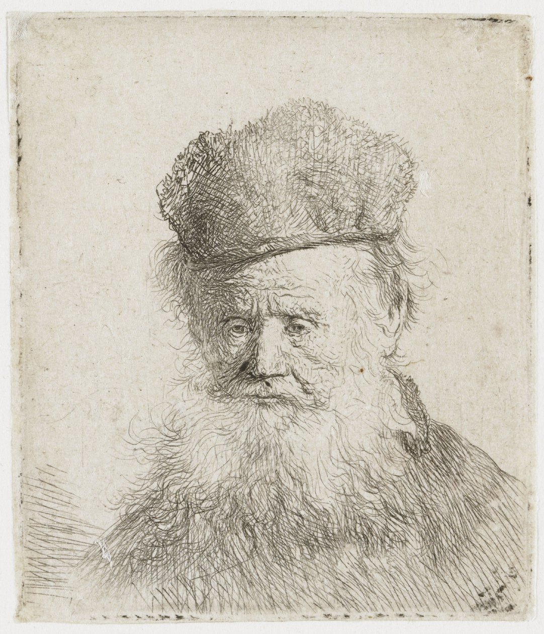 Gammal man med pälsmössa och långt skägg av Rembrandt van Rijn