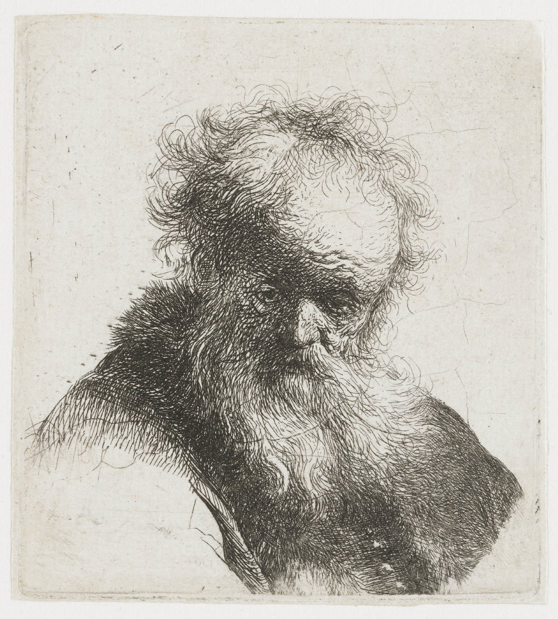 Gammal man med långt skägg och vit ärm av Rembrandt van Rijn