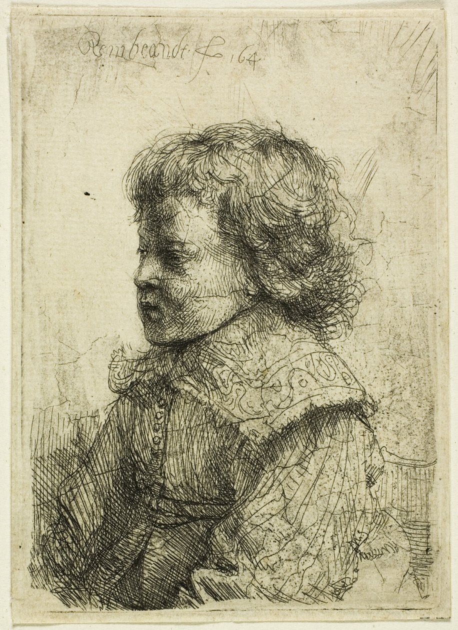 Porträtt av en pojke av Rembrandt van Rijn
