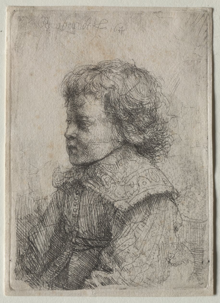 Porträtt av en pojke i profil av Rembrandt van Rijn