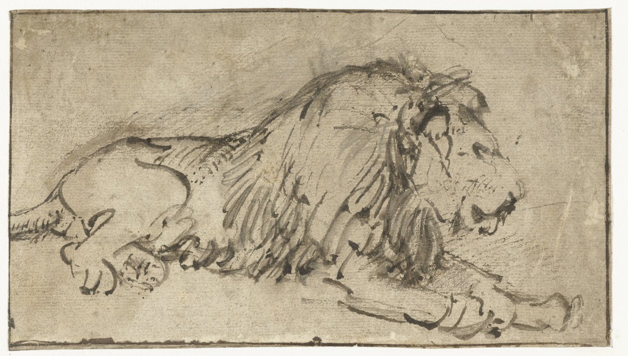 Det liggande lejonet av Rembrandt van Rijn