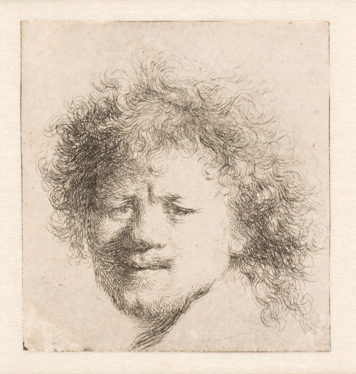 Rembrandt med långt, fylligt hår: endast huvudet av Rembrandt van Rijn