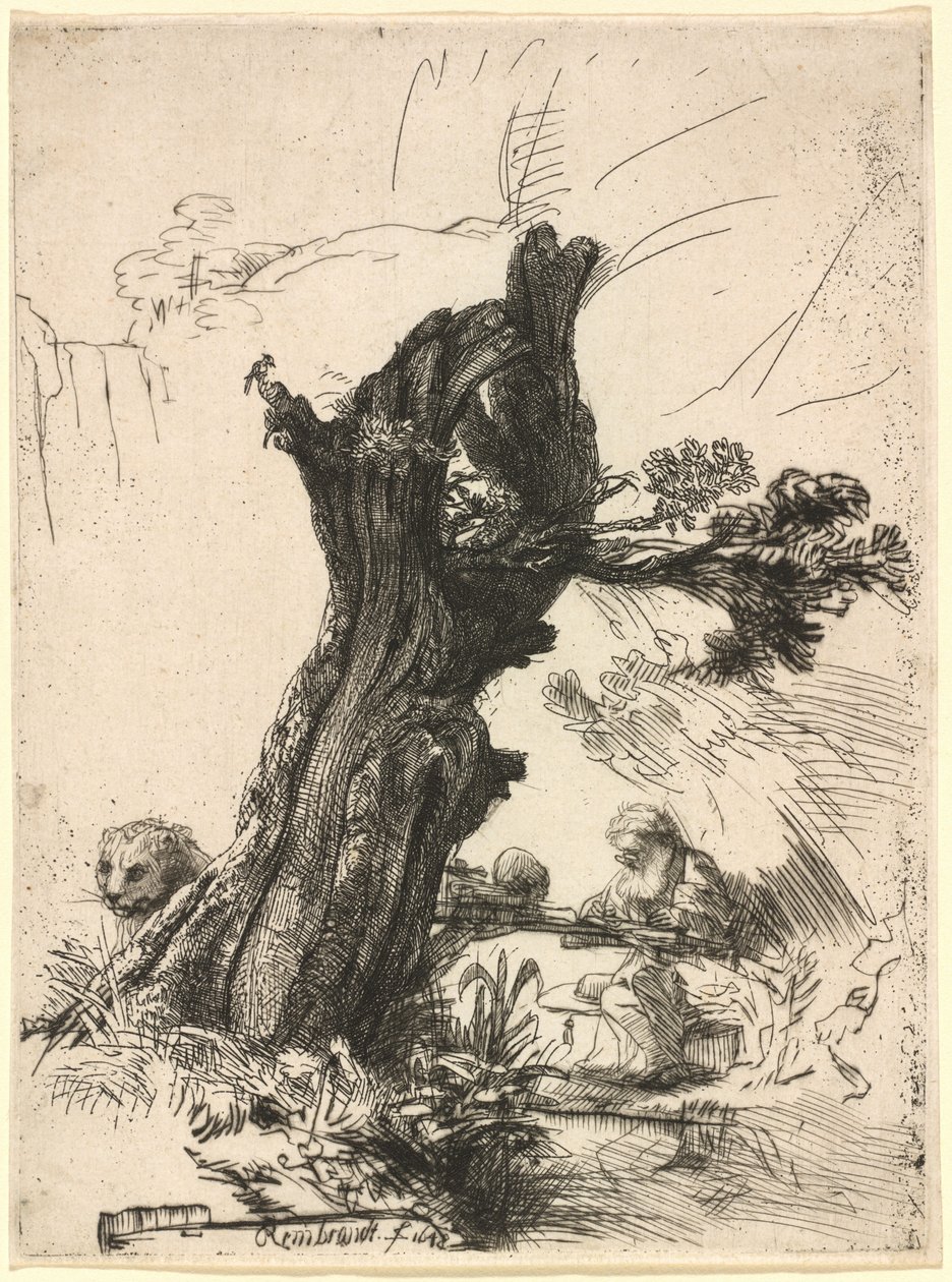 Saint Jerome bredvid en Pollard Willow av Rembrandt van Rijn