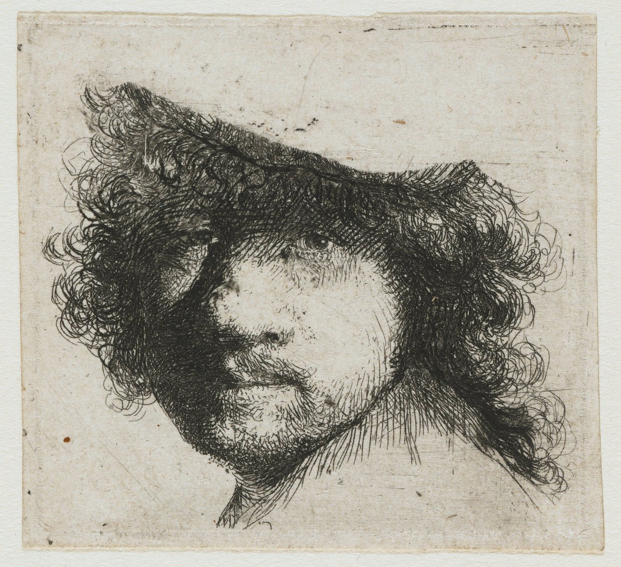 Studieblad: chef för konstnären av Rembrandt van Rijn