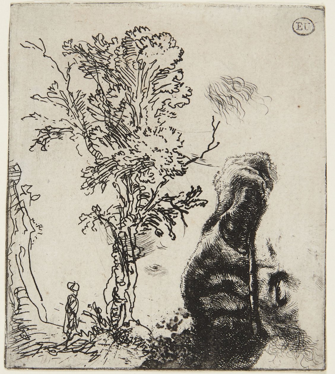 Ark med två studier: Ett träd och den övre delen av ett självporträtt med en sammetsmössa av Rembrandt van Rijn
