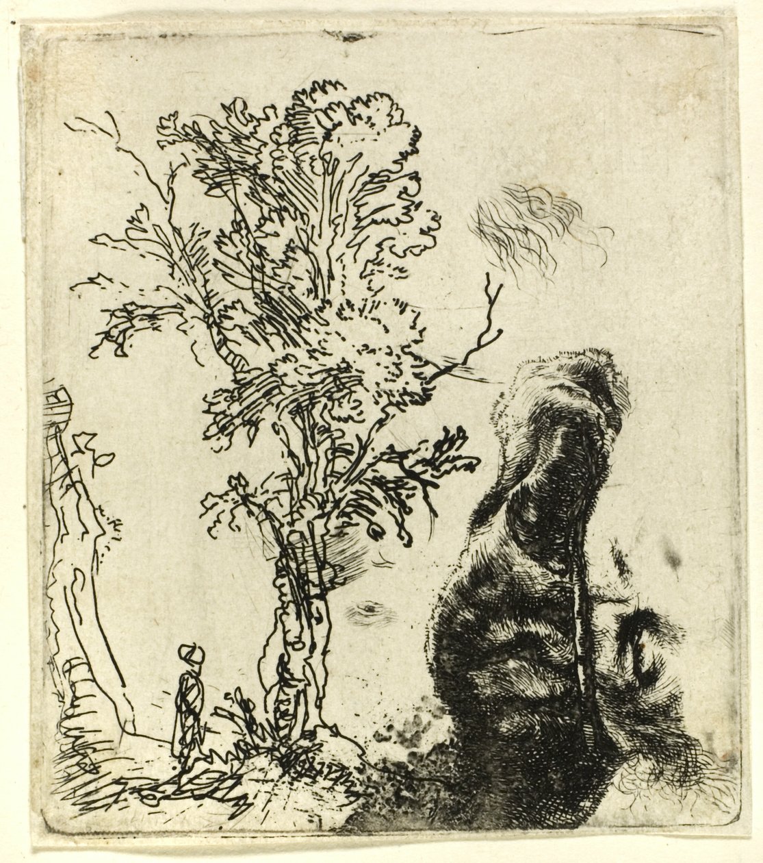 Ark med två studier: ett träd och den övre delen av huvudet på konstnären som bär en sammetsmössa av Rembrandt van Rijn