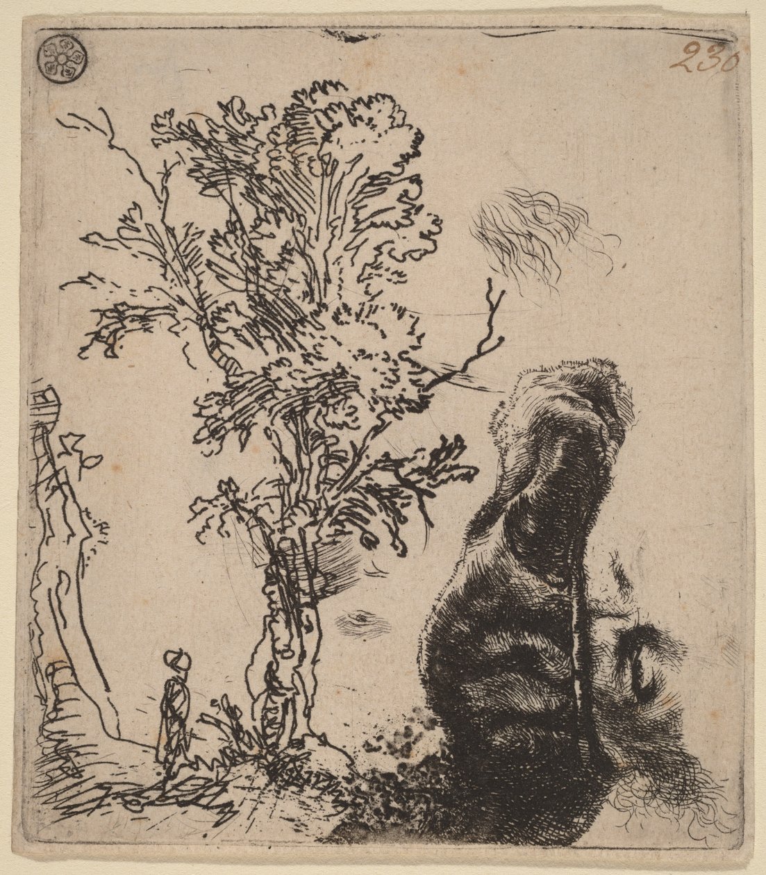 Ark med två studier: ett träd och den övre delen av konstnärens huvud med en sammetmössa av Rembrandt van Rijn