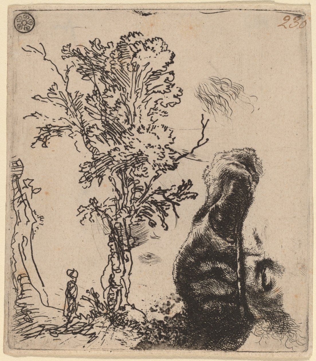 swedish av Rembrandt van Rijn
