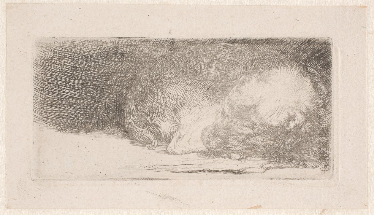 Sovande valp av Rembrandt van Rijn