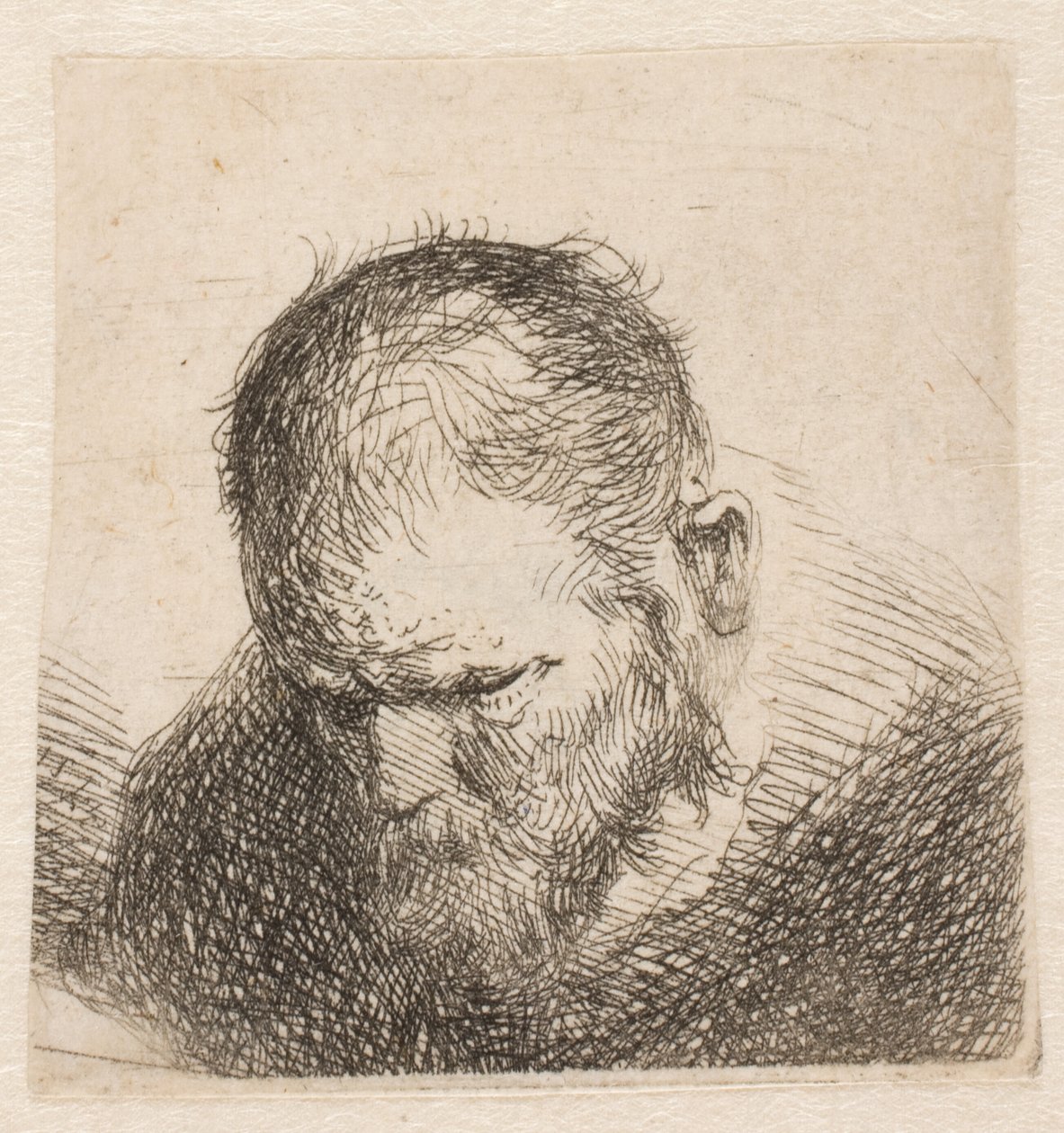 En liten byst av en skäggig man som blickar nedåt, med nästan slutna ögon av Rembrandt van Rijn