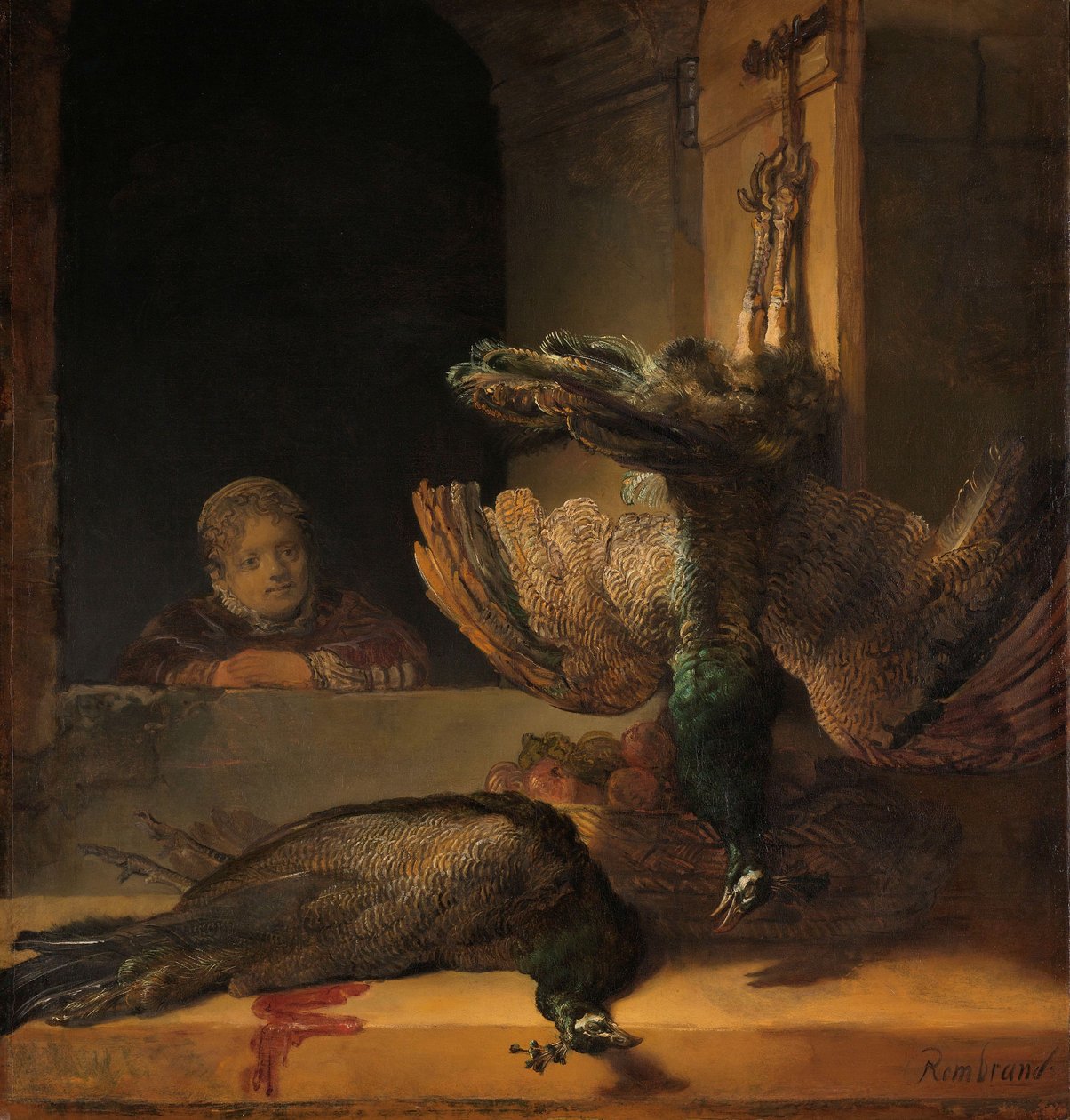 Stilleben med påfåglar, c.1639 av Rembrandt van Rijn